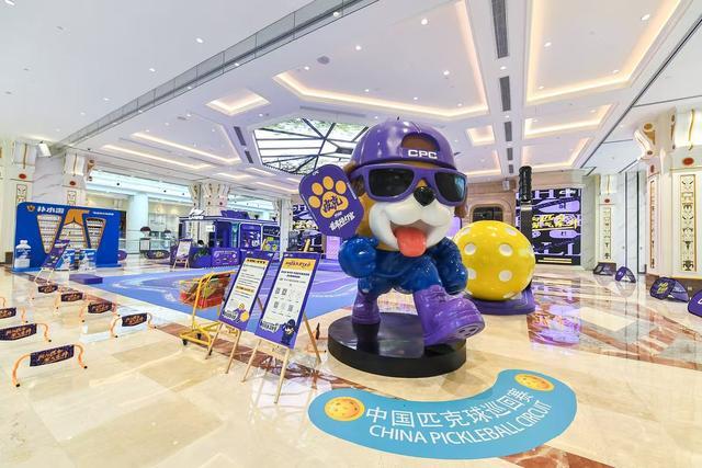 新尝试, 上海站落地, 匹克球需要